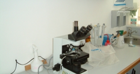 Insemination