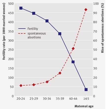 IVF fertilization